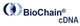 Biochain cDNA